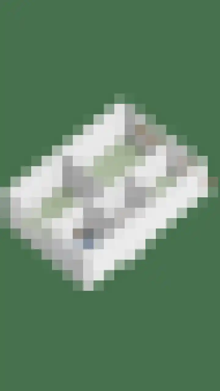 Drumptselaan 86 Tiel thumbnail 34