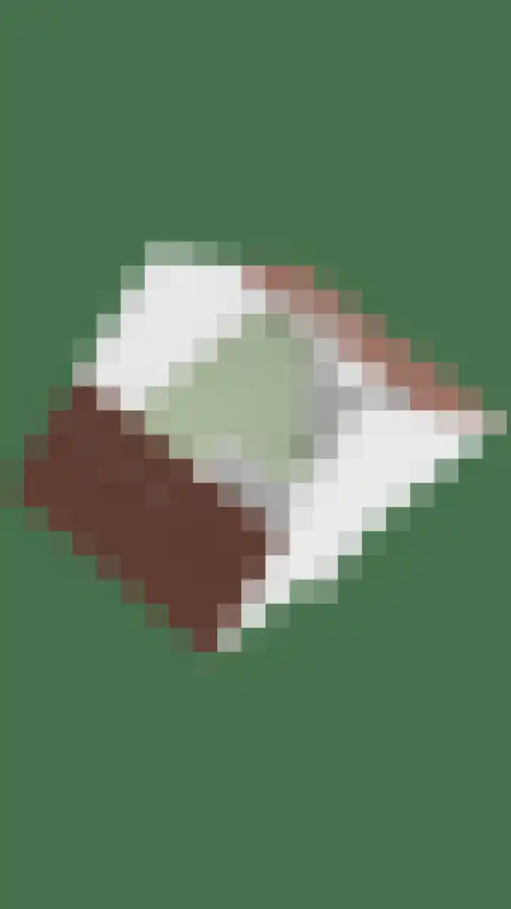 Drumptselaan 86 Tiel thumbnail 36