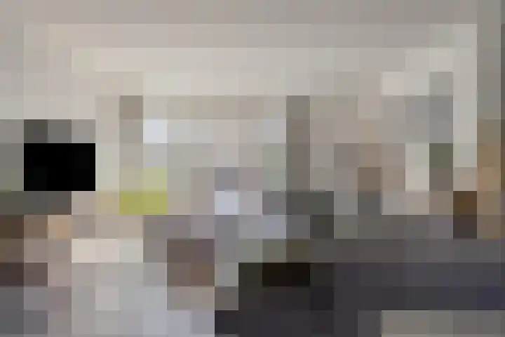 Drumptselaan 86 Tiel thumbnail 4