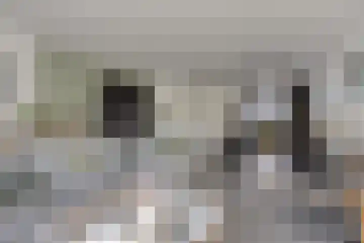 Drumptselaan 86 Tiel thumbnail 5