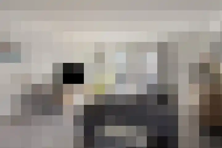 Drumptselaan 86 Tiel thumbnail 7