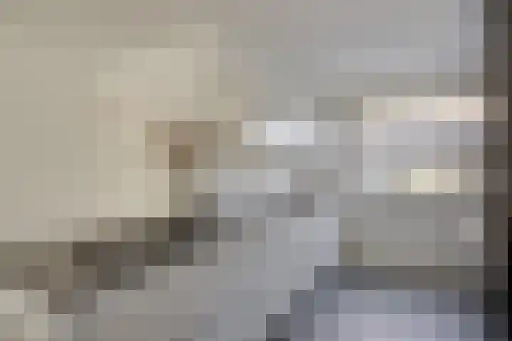 Drumptselaan 86 Tiel thumbnail 9