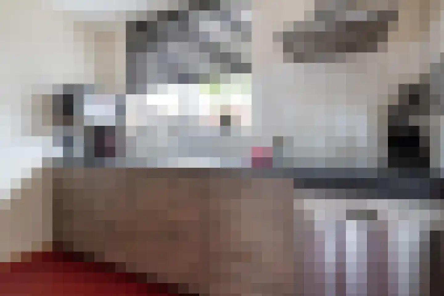 Drunenseschans 6 Nieuwegein thumbnail 8