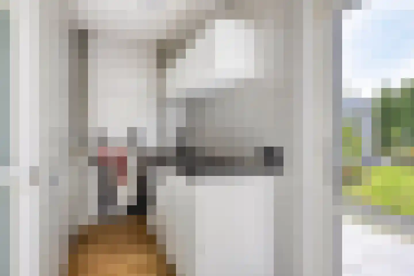 Drunenstraat 4 Tilburg thumbnail 18