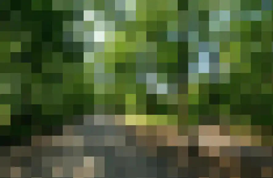 Drunenstraat 4 Tilburg thumbnail 49