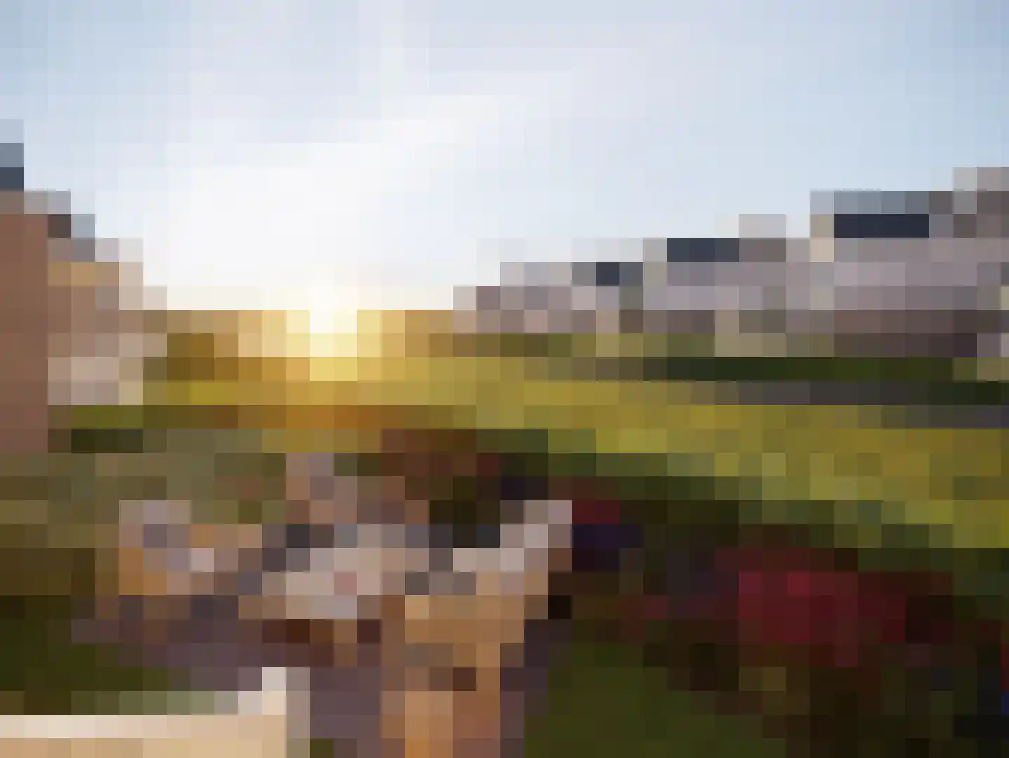Drususberg 14 Herten thumbnail 4