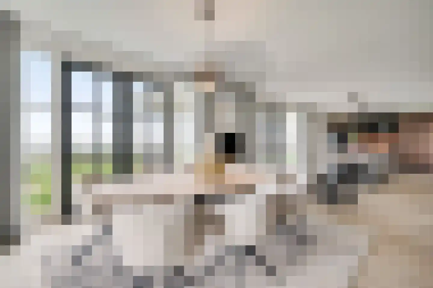 Drususberg 15 Herten thumbnail 14