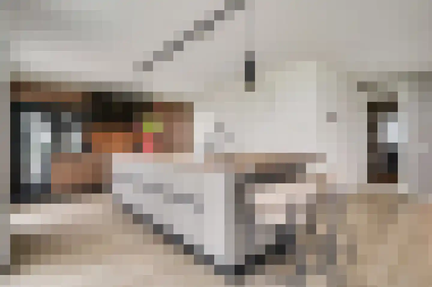 Drususberg 15 Herten thumbnail 16