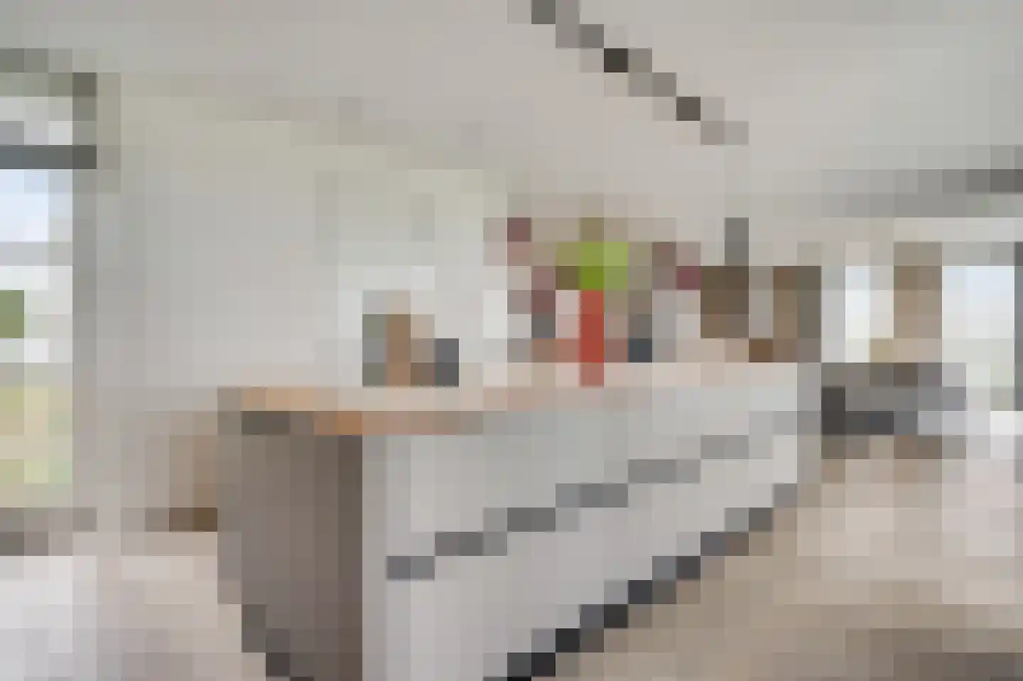 Drususberg 15 Herten thumbnail 17