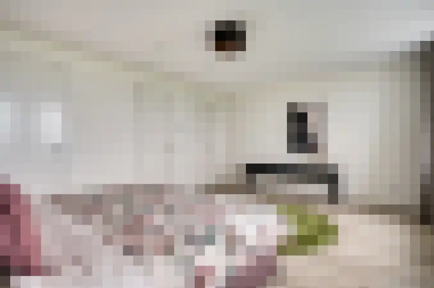 Drususberg 15 Herten thumbnail 24