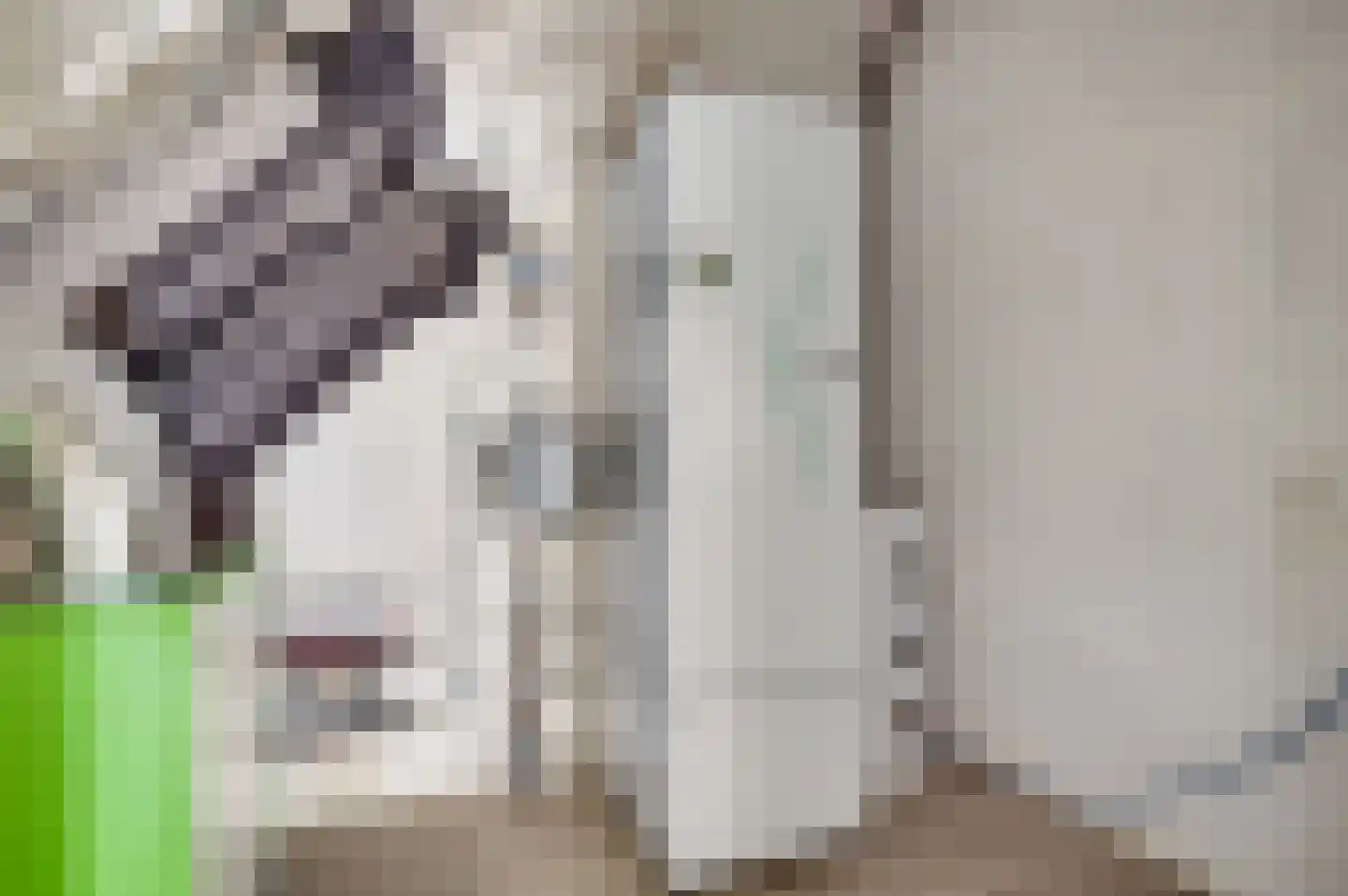 Drususberg 15 Herten thumbnail 43
