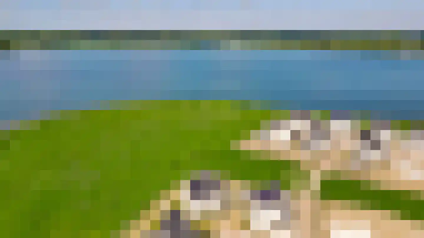 Drususberg 15 Herten thumbnail 44