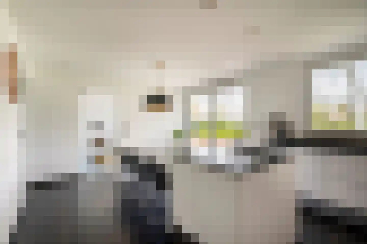 Drusushof 31 Maastricht thumbnail 17