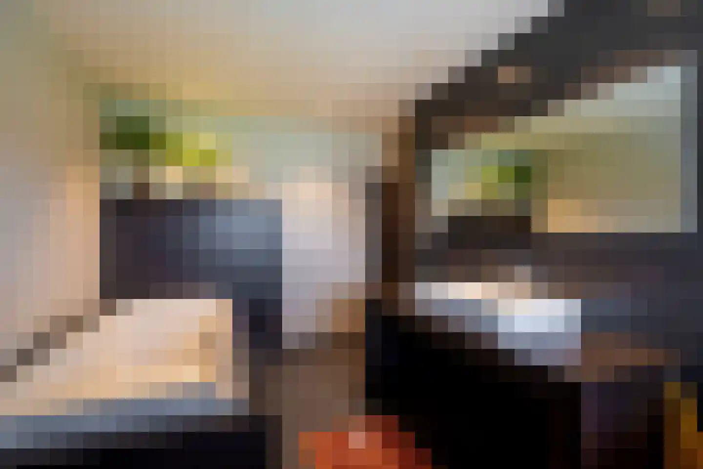 Drusushof 31 Maastricht thumbnail 7