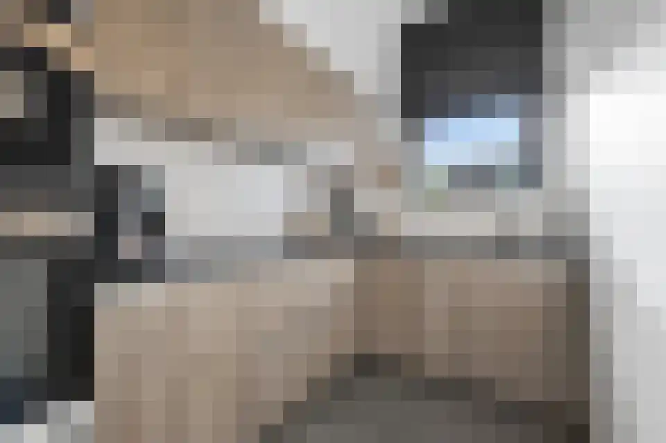 Drusushof 9 Maastricht thumbnail 11