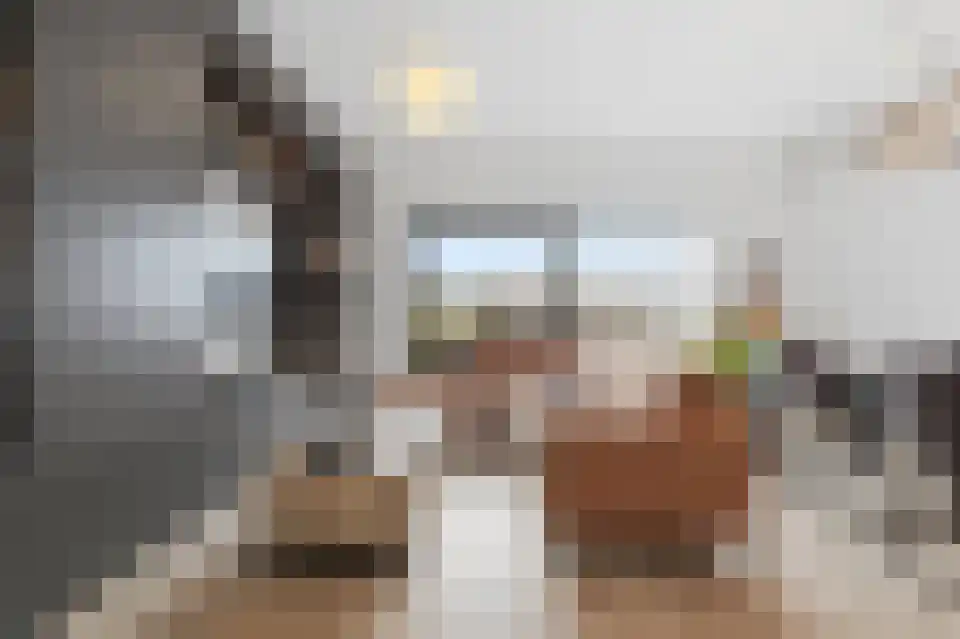 Drusushof 9 Maastricht thumbnail 5