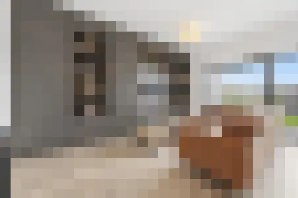 Drusushof 9 Maastricht thumbnail 7