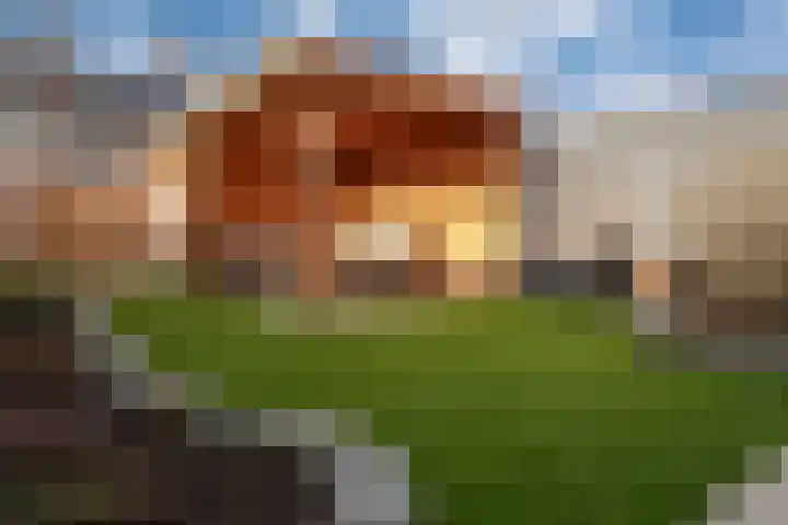 Drususlaan 12 Westervoort thumbnail 25