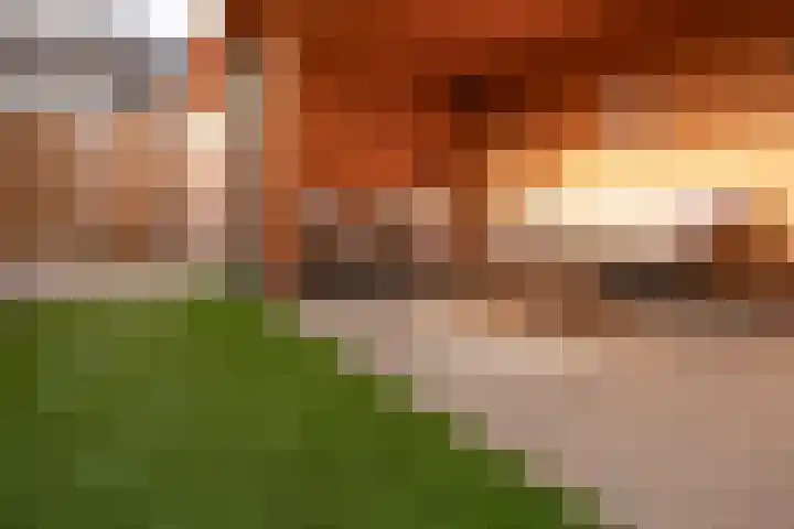 Drususlaan 12 Westervoort thumbnail 27