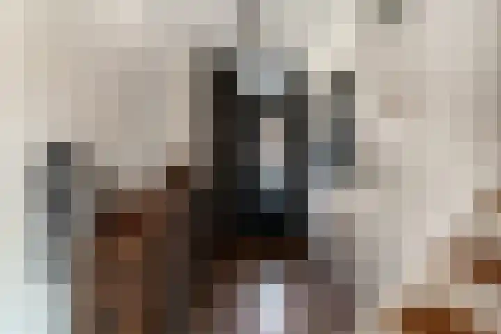 Drususlaan 13 Westervoort thumbnail 10