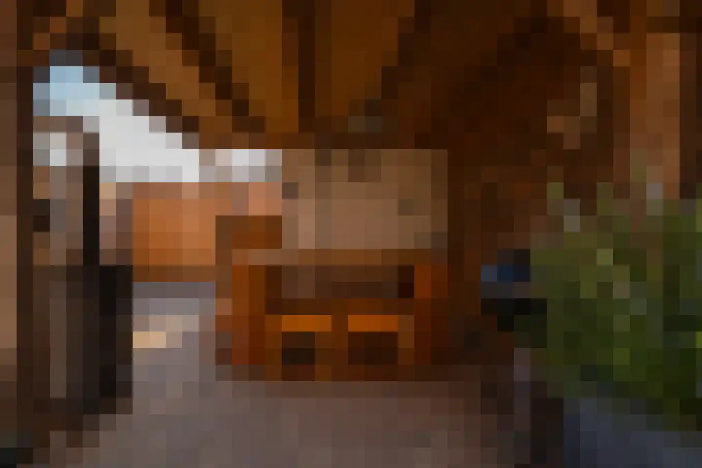 Drususlaan 13 Westervoort thumbnail 25