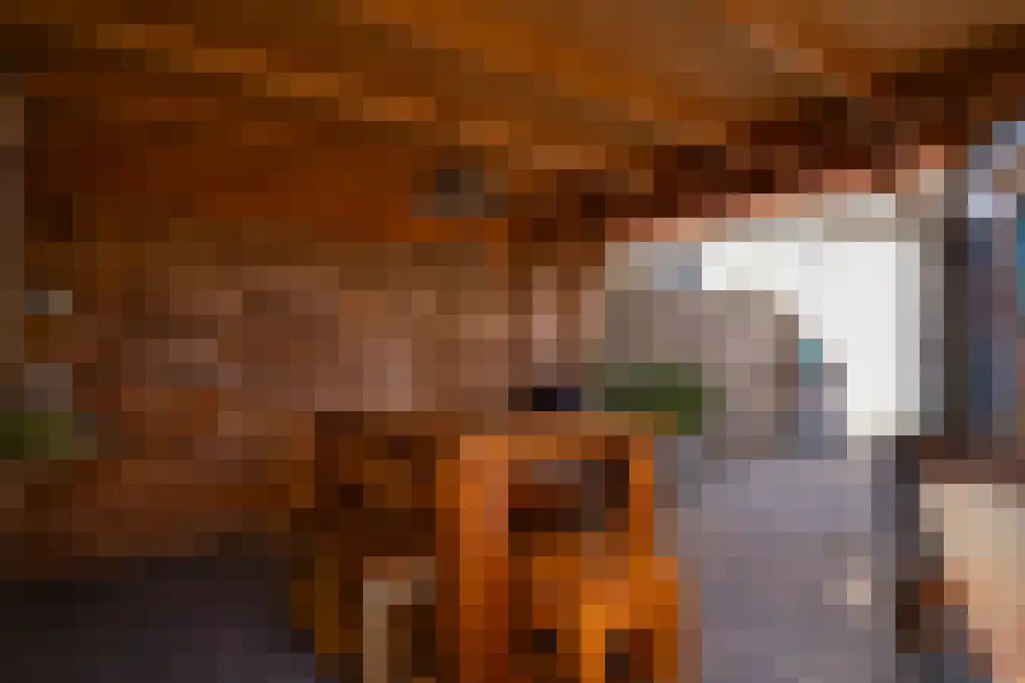 Drususlaan 13 Westervoort thumbnail 26