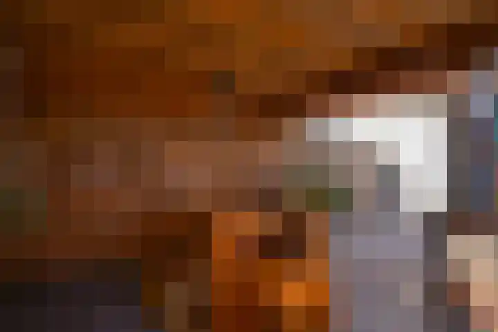 Drususlaan 13 Westervoort thumbnail 26
