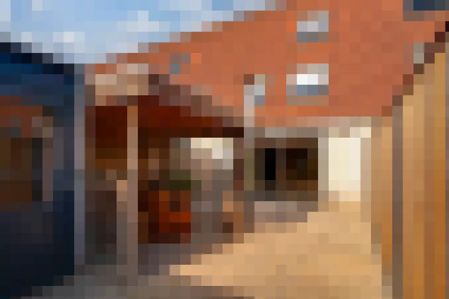 Drususlaan 13 Westervoort thumbnail 32