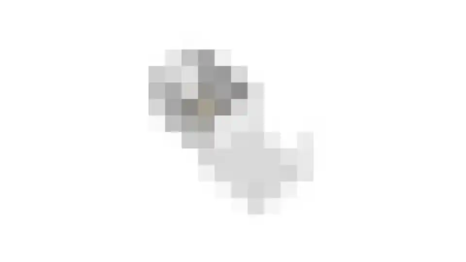Drususlaan 13 Westervoort thumbnail 66