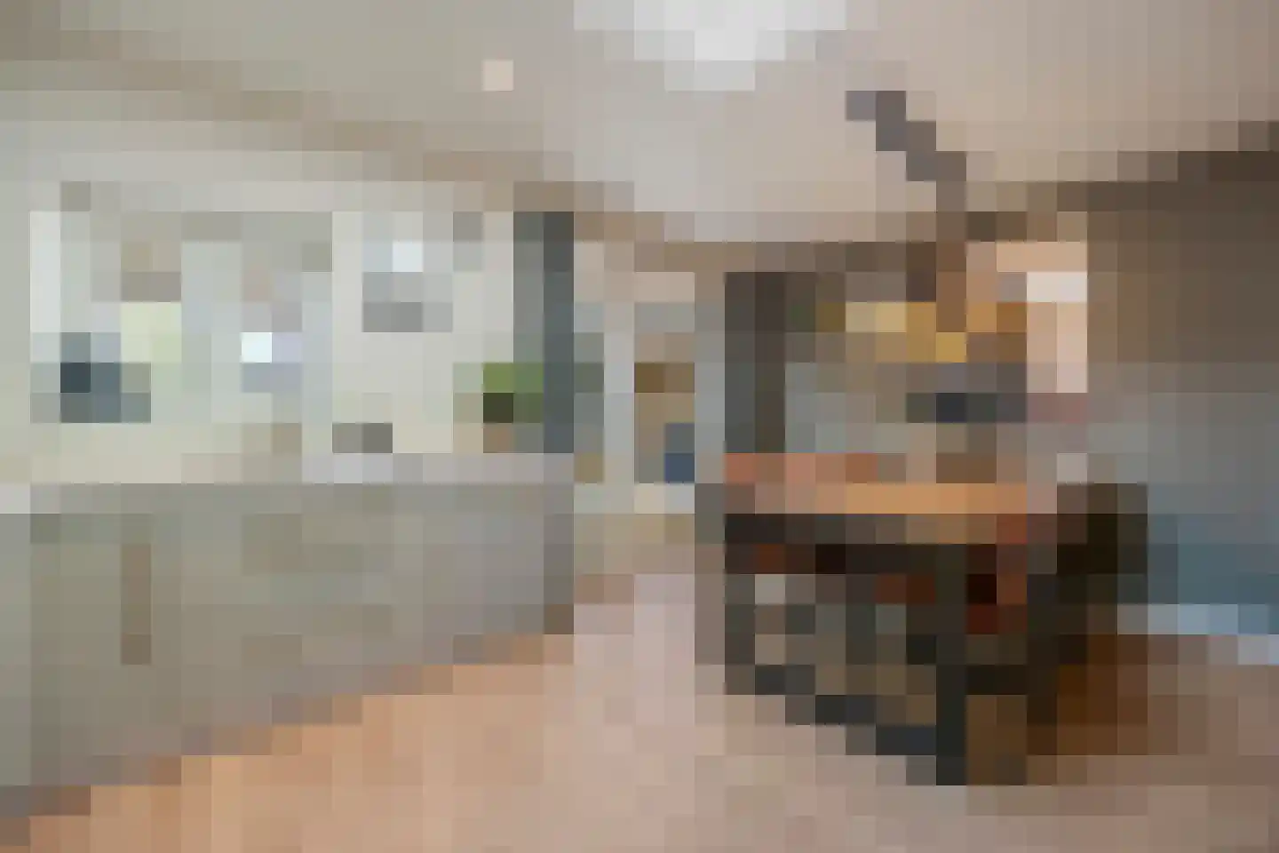 Drususlaan 14 Westervoort thumbnail 13