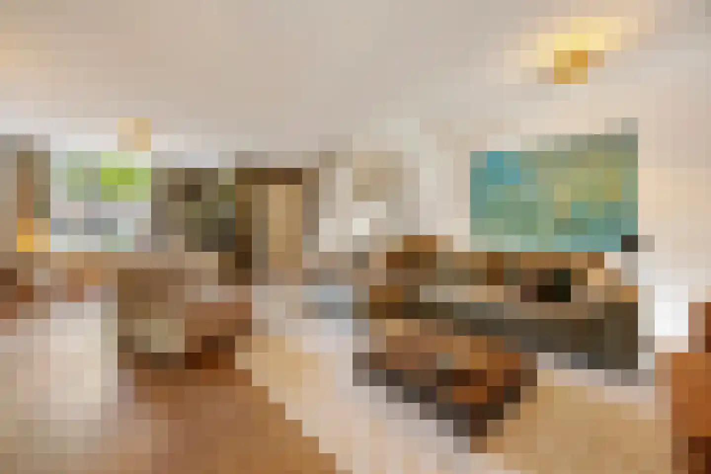 Drususlaan 14 Westervoort foto 2