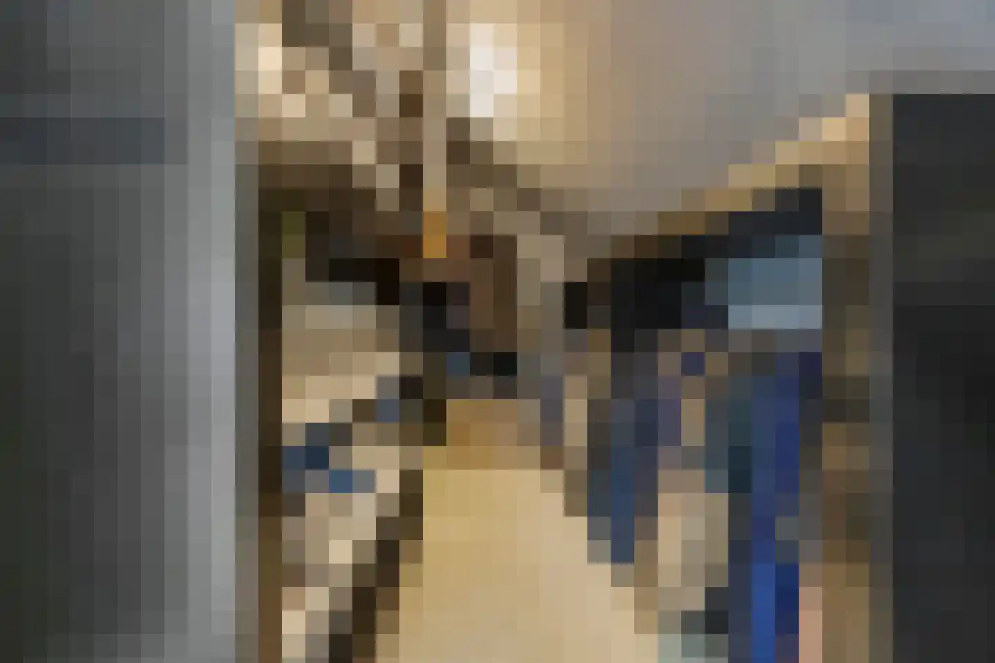Drususlaan 14 Westervoort thumbnail 31