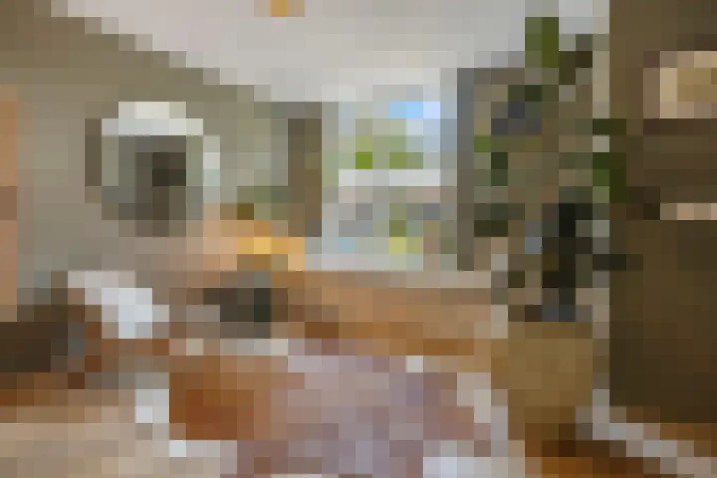 Drususlaan 14 Westervoort thumbnail 4