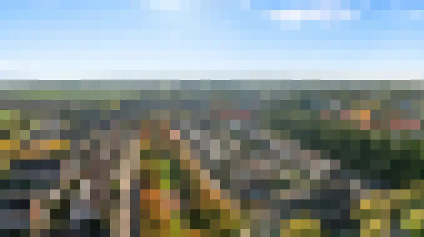 Drususlaan 14 Westervoort thumbnail 45
