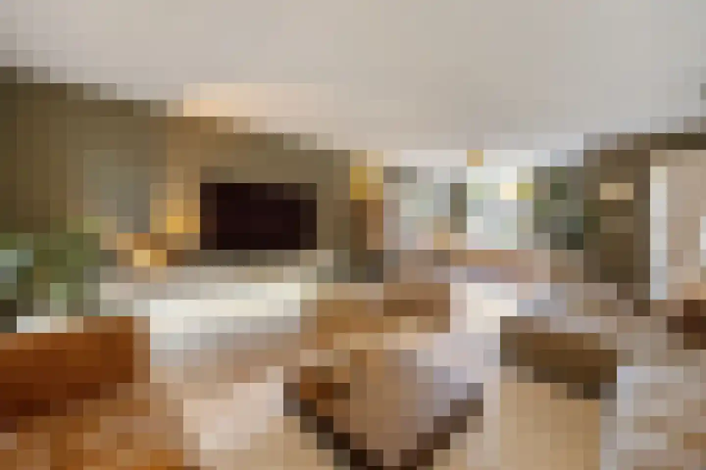 Drususlaan 14 Westervoort thumbnail 9