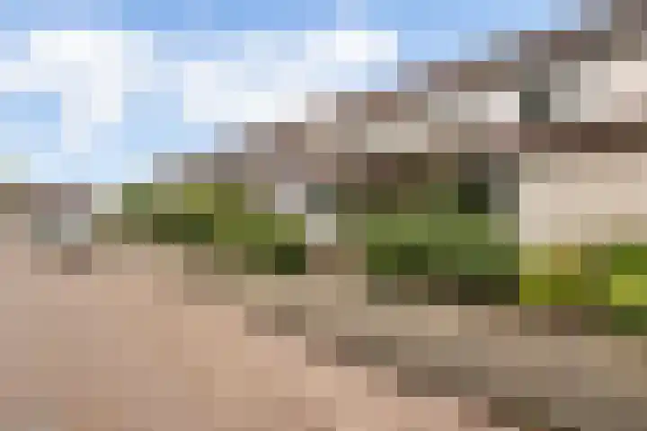 Drususlaan 15 Westervoort thumbnail 36