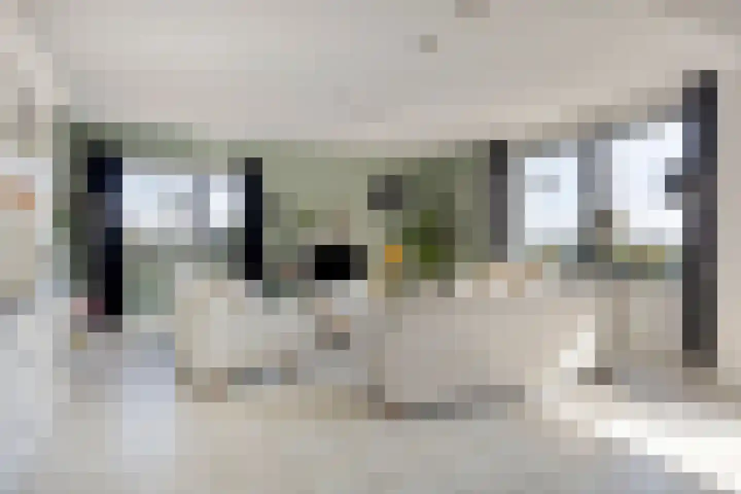 Drususlaan 203 Leiden thumbnail 15