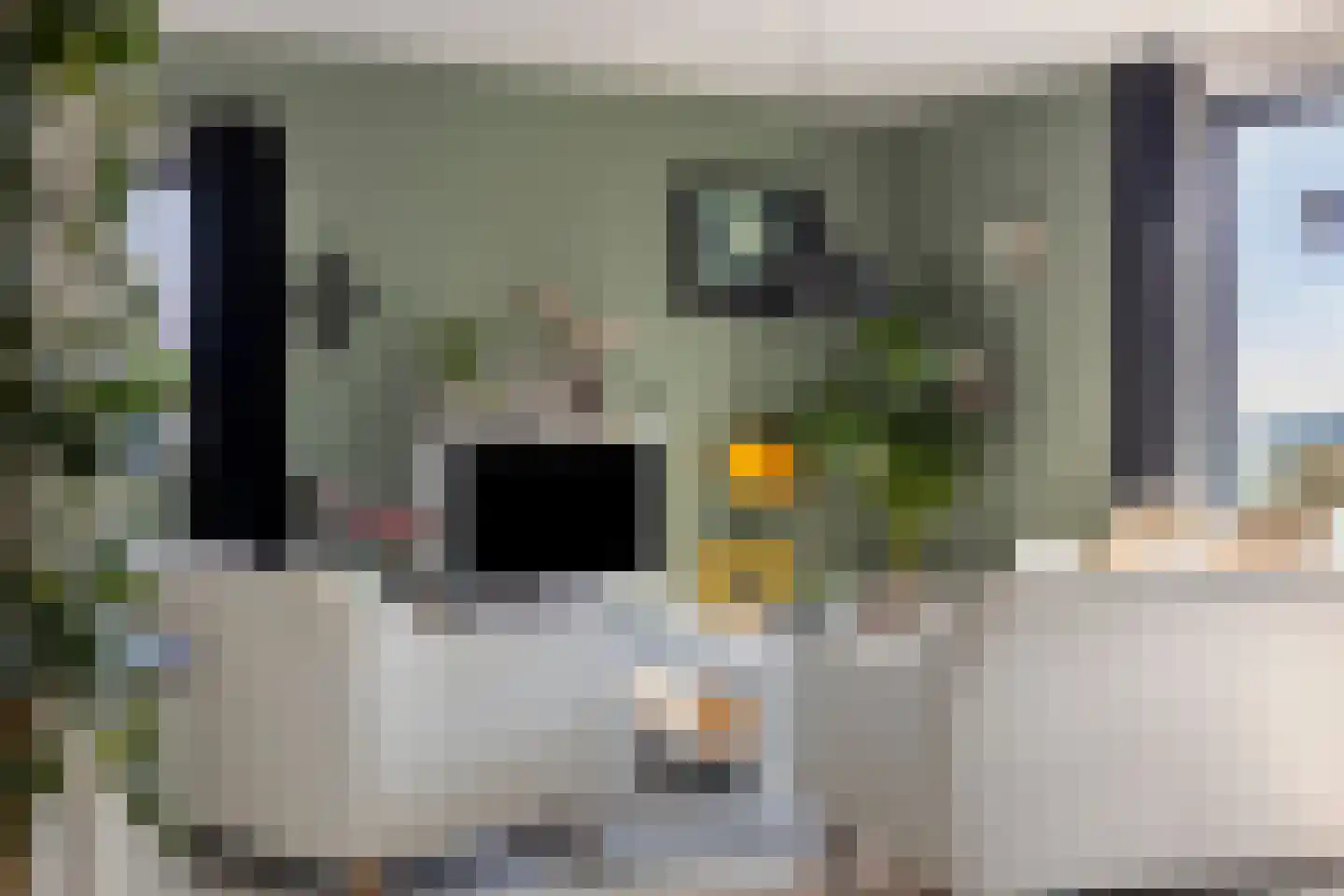 Drususlaan 203 Leiden thumbnail 17