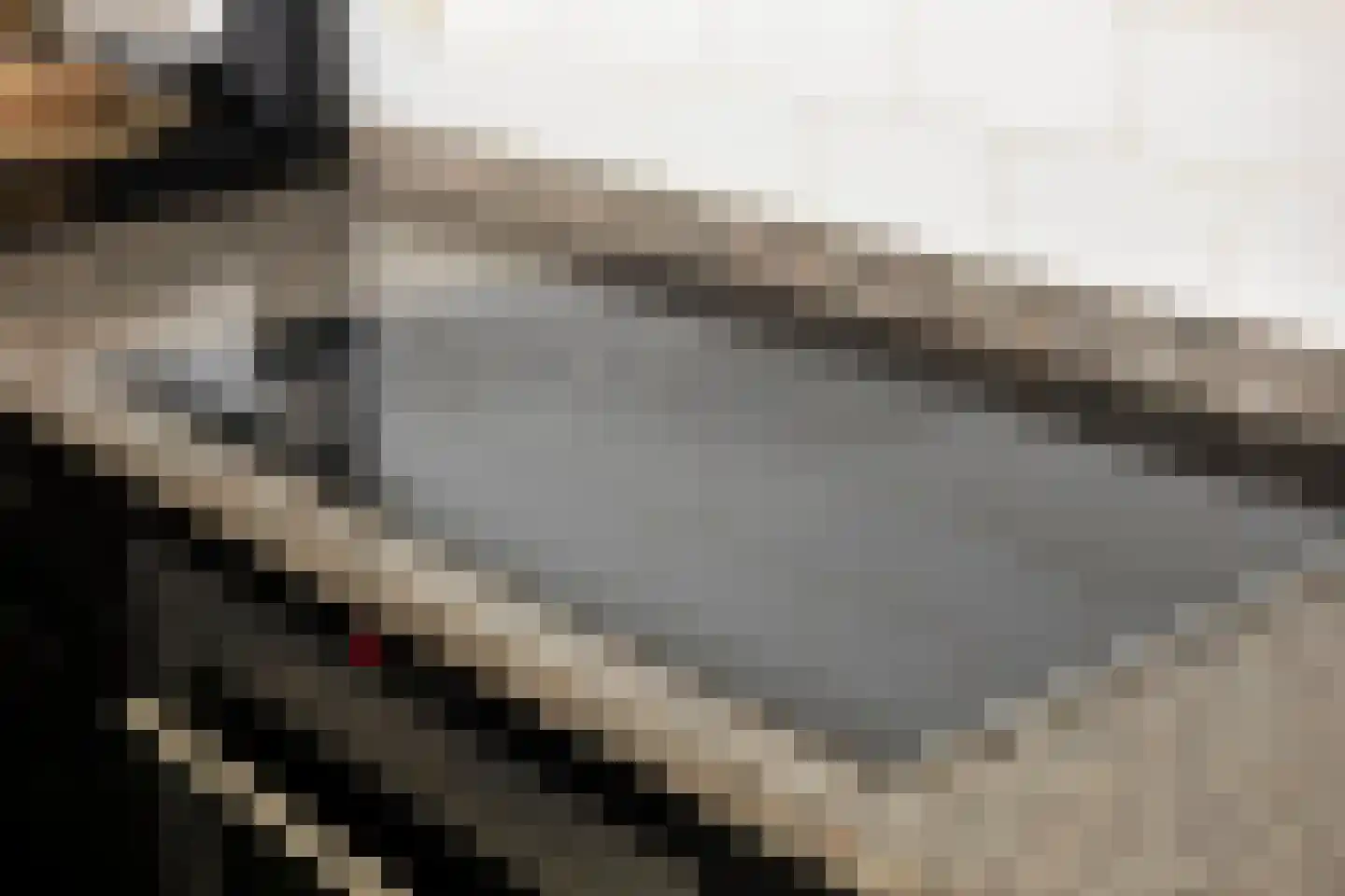 Drususlaan 203 Leiden thumbnail 23