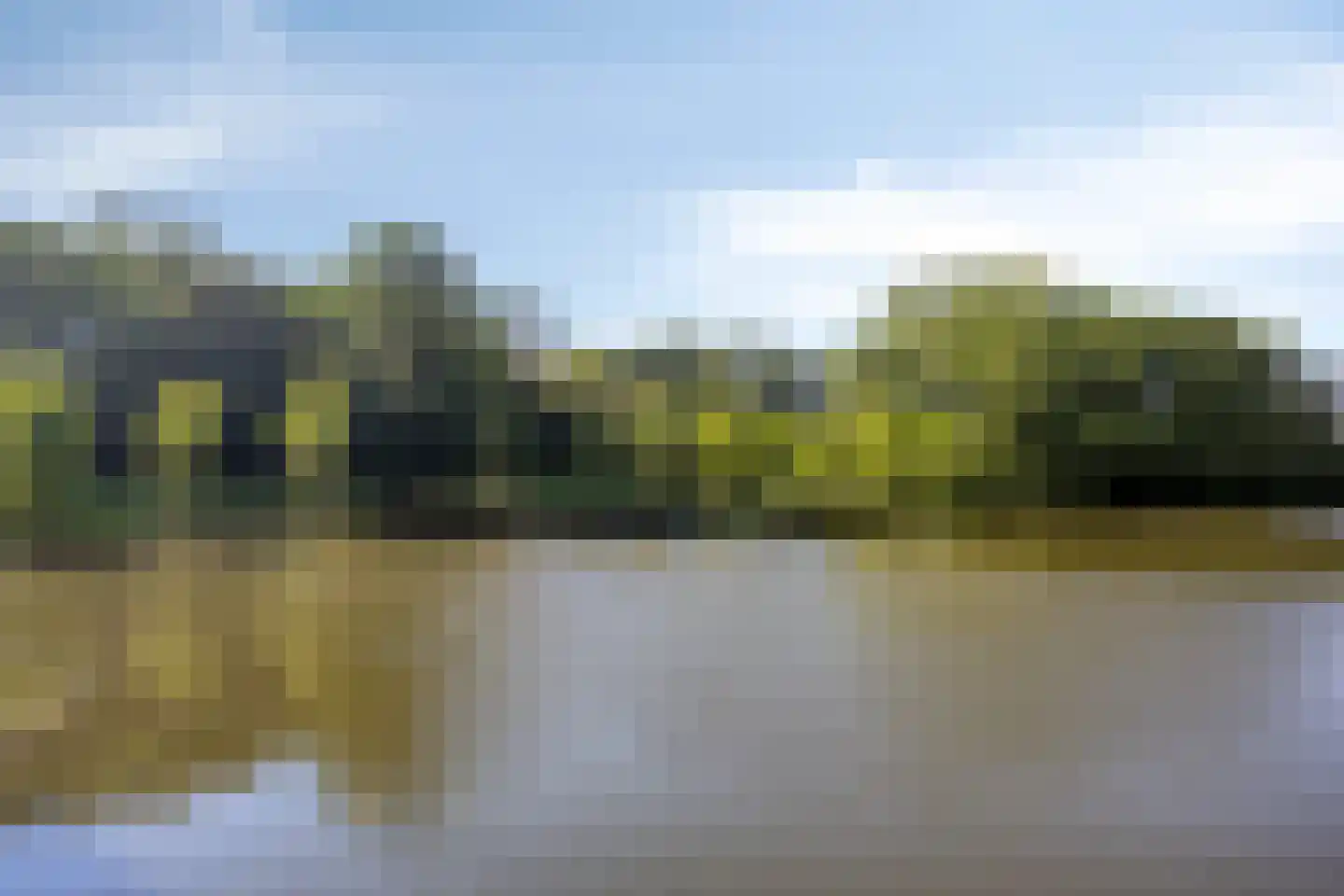 Drususlaan 203 Leiden thumbnail 26
