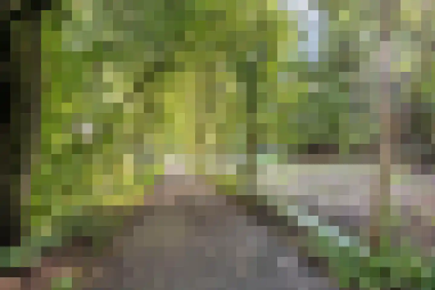 Drususlaan 203 Leiden thumbnail 37