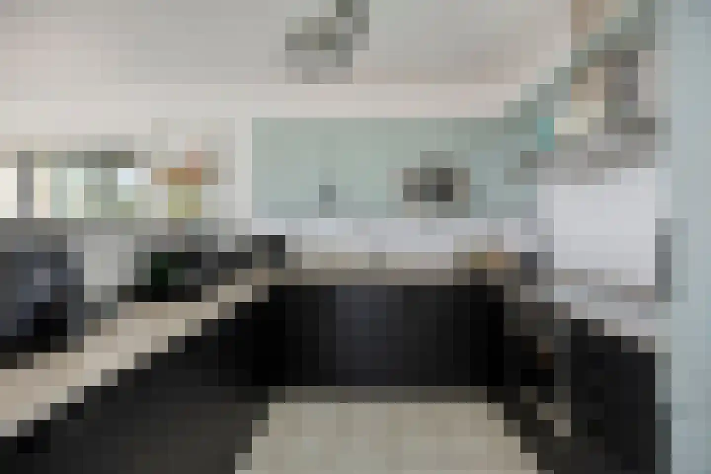 Drususlaan 203 Leiden thumbnail 5