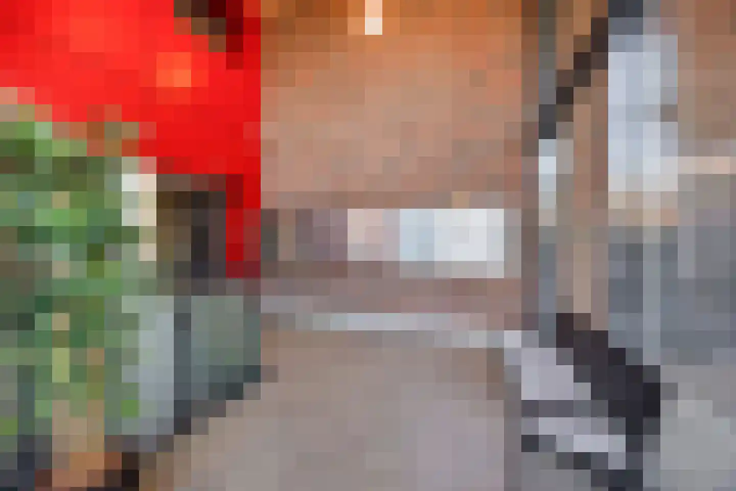 Drususlaan 203 Leiden thumbnail 8