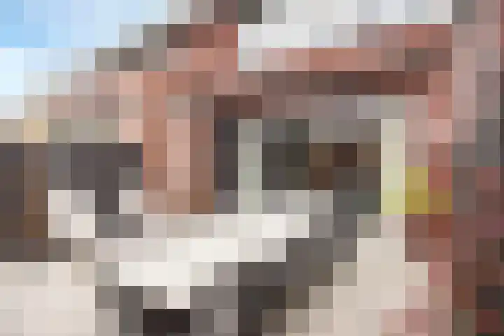 Drususlaan 3 De Meern thumbnail 15