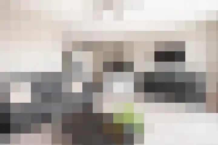 Drususlaan 3 De Meern thumbnail 16