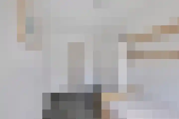 Drususlaan 3 De Meern thumbnail 21