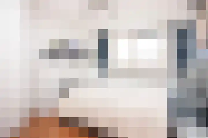 Drususlaan 3 De Meern thumbnail 25