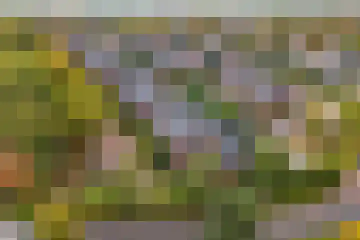 Drususlaan 3 De Meern thumbnail 35