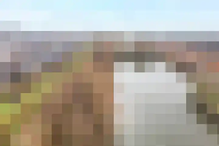 Drususlaan 3 De Meern thumbnail 48