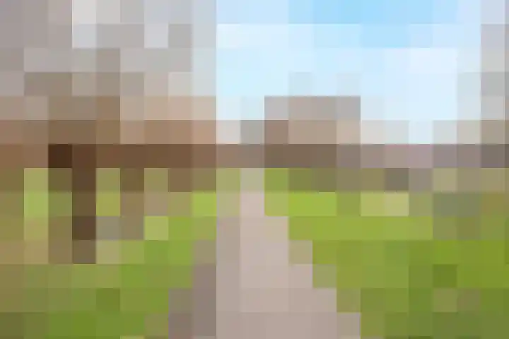 Drususlaan 3 De Meern thumbnail 50